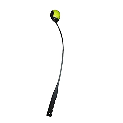 Flexible Hands Free Balls Pick Up and Throw - 25 Inch ( 63.5 cm)