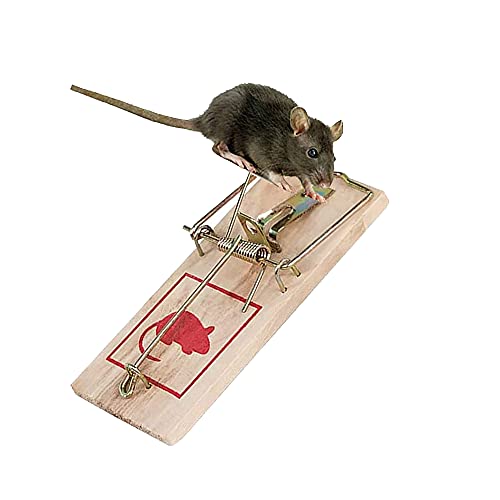 Natural Reusable No Poison Metal Hanger Classic Mice Trap Pest for Home and Office